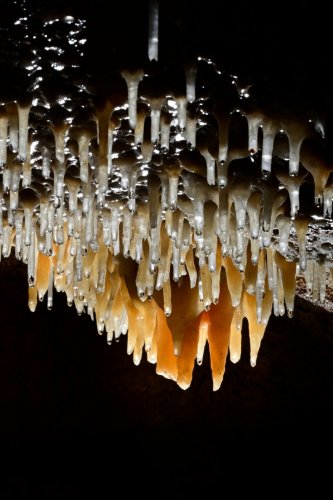 Grotte de Labouiche (Ariège) - Ensemble de stalactites en contre jour(SP-23-1614)